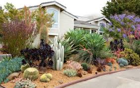 Gardens By Gabriel San Luis Obispo Landscapes And Design California Central Coast Succulent Landscape Design Succulent Landscaping Garden Landscape Design