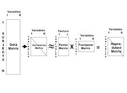 presents a schematic flow chart of the factor analytic