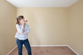 Wall & ceiling emulsion paint. How To Choose A Ceiling Color Best Buy Painting