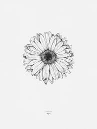Printables Gerbera Daisy Tattoo Gerbera Daisy Tattoo Sunflower Tattoos