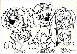 The paw patrol pups are playing on the beach when they discover sea turtle hatchlings. Ausmalbilder Paw Patrol Zuma