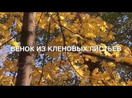как сделать венок из осенних листьев на голову видео Kak Splesti Venok Iz Listev Youtube