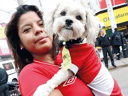 Tendencias en la región: ¿cómo es el negocio veterinario en Perú?