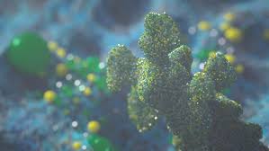 Infinite Futures The Melbourne Model On Behance University Of Melbourne Motion Design Melbourne