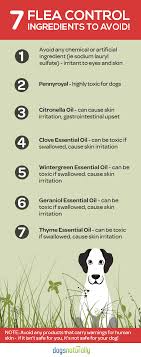 Natural Flea Tick Products You Should Avoid