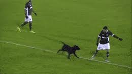 Jun 14, 2021 · mano brown, cantor dos racionais mc's, não ficou contente com a possível contratação de camacho para o santos e reclamou nas redes sociais. Latest Sao Paulo Gifs Gfycat