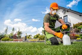 Shoul You Invest in Professional Lawn Care? | GOLR