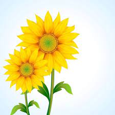 Pin By Glenna Manley On Sunflowers Vector Flowers Sunflower Clipart Sunflower