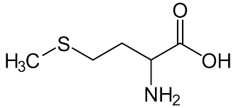 Methionine Wikipedia