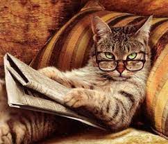 Silakan klik senarai 9 baka kucing termahal di dunia beserta harganya untuk melihat artikel selengkapnya. Inilah 9 Haiwan Paling Pintar Di Atas Muka Bumi Berdasarkan Kajian Iluminasi
