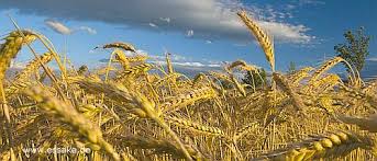 996 wohnungen zur miete in aachen auf immobilo.de ✓ egal ob 1 zimmer, 2 zimmer, maisonette english: Umland Munchen Wohnen Auf Zeit Moblierte Wohnung Mobliertes Zimmer Apartments Und Studios Appartements In Der Ammersee Region Wochenend Heimfahrer Wohnmoglichkeit Vermietung Wochen Und Monatsweise Landkreis Landsberg Landkreis Starnberg