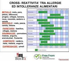 Nello specifico i pollini delle graminacee. Bonta Free From Cremona Fiere Allergia Ai Pollini Non Mangiare Mela Pera Pesce Finocchio E Carota