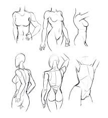 Female Torso Drawing Reference And Sketches For Artists Arms above the shoulder/head tutorial by dersketchie on deviantart. female torso drawing reference and