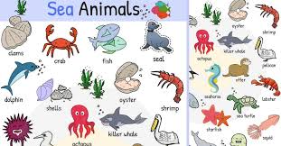 Sea Animals Water Ocean Sea Animal Names With Images 7 E S L Sea Animals Images Sea Animals Animals Live In Water