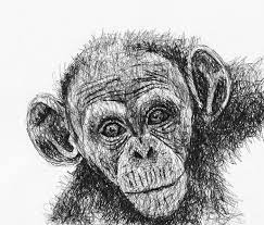 Scribble Drawing Of A Chimpanzee By Filip Walczak Scribbled Chimpanzee Chimp Monkey Animal Animals Illustration Monkey Drawing Elephant Drawing Animals