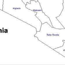 Image result for Ocotea kenyensis