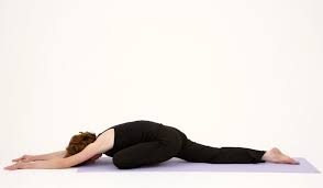 Ardha Kapotasana Half Pigeon Pose Pigeon Pose Yoga Yoga Poses Pigeon Pose