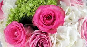 We did not find results for: Step By Step Bouquet Tutorial Roses Hydrangeas