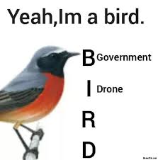 #meme #memes #bigbird #bigbirdmemes #sesamestreetthailand #sesamestreet #sesamestreetmemes #sesame i wish everyone luck for the rest of 2020! Yeah I Am A Bird Government Drone Meme Memezila Com