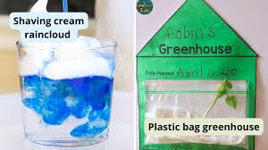 35 fabulous first grade science experiments and projects to try