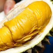 In malaysia, the jungle is never that far away. Chinese Appetite Grows For Malaysia S Designer Durians South China Morning Post