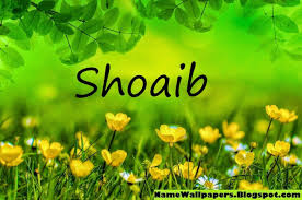 Shoaib Name Wallpapers Shoaib Name Wallpaper Urdu Name Meaning Name Wallpaper My Name Wallpaper Love Wallpaper Download