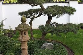 Pflanzen Mit Fernostlichem Flair Asia Und Japangarten Haben Eine Sehr Alte Kultur Hier Finden Sie Passenden Pflanzen Pflanzen Japanischer Garten Gartenarten