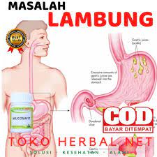 Fiszkoteka, your checked malaysian english dictionary! Jual Obat Asam Lambung Nyeri Ulu Hati Herbal Naturindo Kab Wonosobo Toko Herbal Net Tokopedia