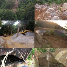 Grismer , ngo & j.l. The Psychedelic Rock Gecko Cnemaspis Psychedelica Photo T Ziegler Download Scientific Diagram