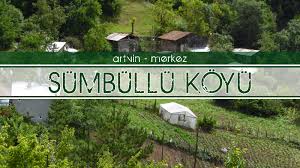İyi parti artvin merkez i̇lçe başkanlığı, artvin. Artvin Merkez Sumbullu Koyu Artvin E Dair