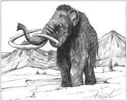One of the things that the woolly mammoth was known for is it's large size, hairy bodies, super large ivory tusks, and the ability to live in cold climate weather. Woolly Mammoths The Adirondack Almanack