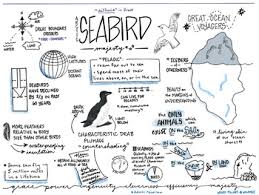 Arctic Seabirds Sketchnote By Visual Notetaking For Educators Tpt Creating good newsletters by mostafa lameei. arctic seabirds sketchnote