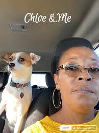 Free medium or large dog cage needed in Wintersville Ohio