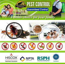 Reliable bed bug control and bird control services across east london from hunters pest control. Pest Control New Cross Se14 Pest Control Services