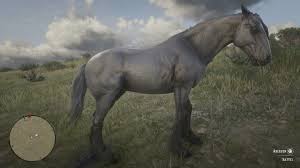 On sale for $350 that is an amazing bargain!!! Red Dead Redemption 2 Alle Pferderassen Und Pferdeklassen