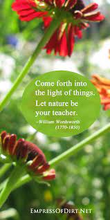 What S Your Superpower Empress Of Dirt Garden Quotes Flower Quotes Nature Quotes