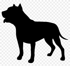 Dogs in circle dog reflecting world pet labrador retriever and cat dog show silhouette dogs circle vector rottweiler pets world dog silhouette sunset dog silhouette poodle. Silhouette Clip Art Pit Bull Dog Silhouette Hd Png Download 615x544 2679696 Pngfind