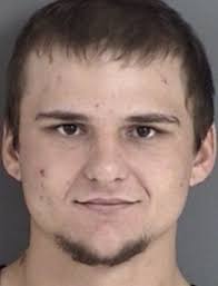 POLICE REPORTS: Beasts of burden: Cattle cause damage to property, carport 