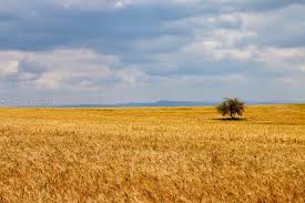 Image result for tbn:jgIyxUDlTgezJM::www.parisnajd.com/backgd/data/media/6/lakeside-1024.jpg