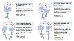 4 Cara Penyerbukan Bunga Sebutkan Dan Jelaskan Secara Singkat Penulis Cilik Bunga Tulisan Membaca