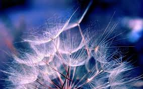 Here are only the best hd laptop wallpapers. 1001 Ideas For A Gorgeous Aesthetic Wallpaper For Phone And Laptop