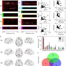 Check spelling or type a new query. Pdf The Frequency Dimension Of Fmri Dynamic Connectivity Network Connectivity Functional Hubs And Integration In The Resting Brain