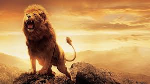 1082x1922px Free Download Hd Wallpaper Aslan Nature The Chronicles Of Narnia Lion Animal Themes Wallpaper Flare Lucy, edmund, susan and peter, in world war ii england enter the world of narnia through a magical wardrobe while. narnia lion animal themes