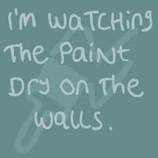 images?q=tbn:ANd9GcS7_1XPUdketrvqVJN57MVGPNceGdf_BEkEaA%26usqp=CAU&key=6114f506466f79b922d6f6dc45878486251e388ef5f3c85b31e4fa5209768e0e