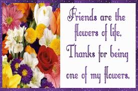 Convenient also the tax time, allows you to send flowers. Express Your Feelings With These Flowers For Friendship Blog Nurserylive Com Gardening In India