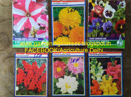 In 154 bce , a rebellion forced the roman senate to change the beginning of the civil year from march to january 1. Somesh Jha Seasonal Flowers For Winter Gardening In Winter Season Autumn Sown