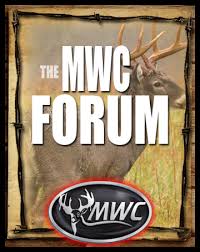 Please bookmark our main domain to have permanent access to our forum teens.al and bookmark our top jailbaits.top. Forum