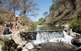 Además de la reforestación, es vital empezar por obras de conservación de suelo en los puntos donde sea más necesario de las zonas incendiadas, incluso, añadió que otra manera de apoyar es crear. Colectivo Pide A Autoridades Expropiar El Bosque La Primavera Notisistema