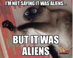 Discover the magic of the internet at imgur, a community powered entertainment destination. Funny Caturday Cat Meme Post Album On Imgur