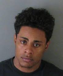 Teen accused of killing puppy